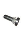 Riffelbolt M12 / d.17mm / L=36mm / SW19
