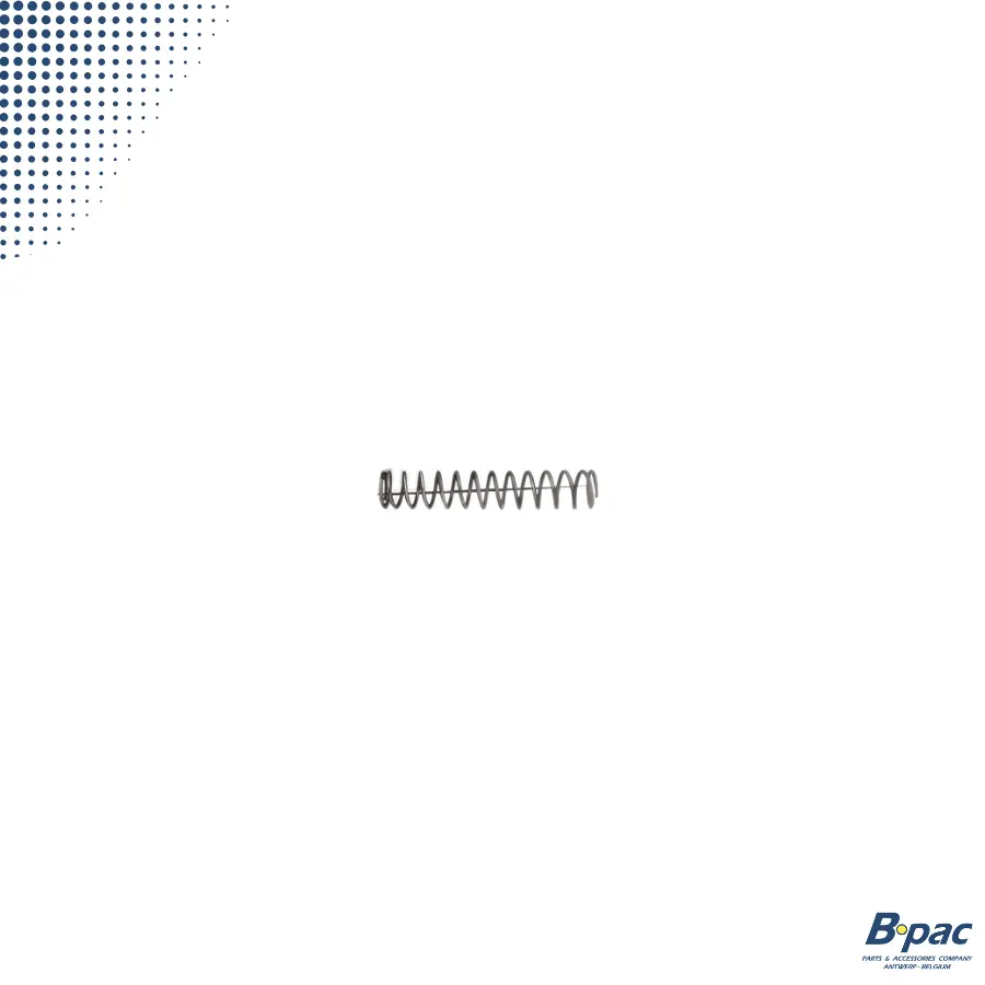 DROWA Drukveer Schijfrem RVS | Dia.18mm x VL 100 mm x 13 TW