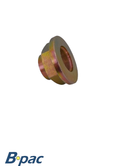 IFOR-WILLIAMS Flange Nut M30x1.5 SW=46 ORG -> SEE 0630002821